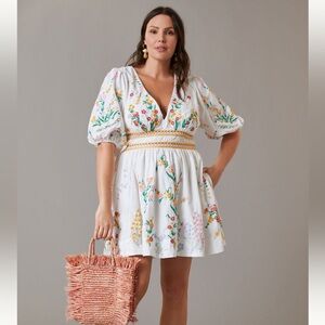Anthropologie Deep-V Floral Embroidered Dress